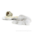 /msite/products/detail/productid/57922131/id/77354.html